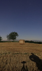 Une nuit dans les blés copupés